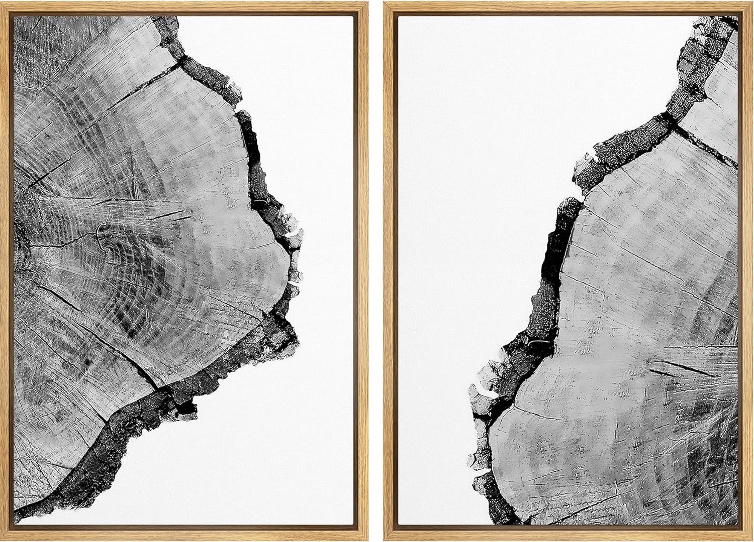 SIGNWIN Framed Wall Art Print Set Black & White Close Up Tree Ring Details Nature Wilderness Photography Modern Art Rustic Relax/Calm Multicolor for Living Room, Bedroom, Office - 24x36x2 Natural