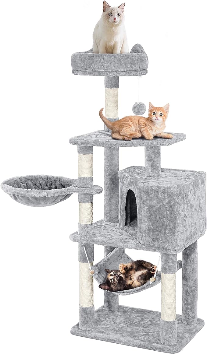 Great deal, is very sturdy and looks nice. Well worth the money even with the $10 shipping. Came in 2 days rather than a week and a half!! My cat doesn't really know what to do with it yet, but she has used the scratching post already, and ive never been able to get her to use any of the scratching posts I've gotten her before, so success! She' never had a full cat tree before, but I'm sure if I sprinkle some catnip on there she will figure it out. Best deal I could find on amazon for this size