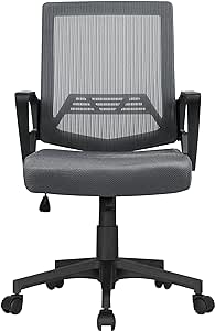 Yaheetech Office Chair Desk Chair Computer Chair Modern Swivel Computer Chair Mid Back Executive Task Chair Rolling Mesh Study Chair with Lumbar Support and Armrest for Women Adults, Dark Grey