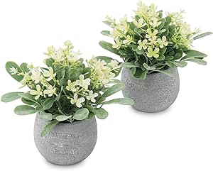 Zuvas Fake Plants Small Eucalyptus Faux Plants in Pots, 2 Pack Mini Potted Artificial Plants, Yellowish Fake Flowers and Greenery Fake Leaves for Office, Home, Desk, Table, Shelf Decor - 5.9 x 7.9