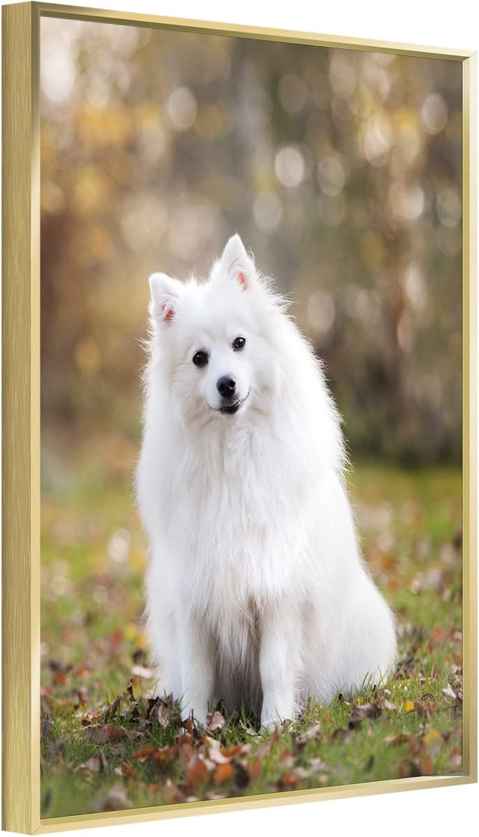 Custom Canvas Prints With Your Photos for Pet Family Photo Prints Personalized Canvas Aluminum Alloy Framed Wall Art (Gold, 12 x 16)