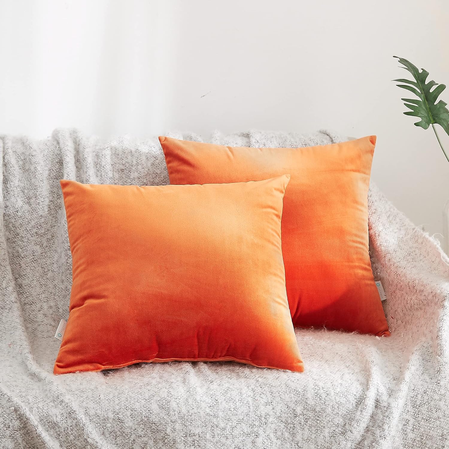 Acanva Solid Velvet Soft Decorative Throw Pillow, 2 Count (Pack of 1), Tangerine