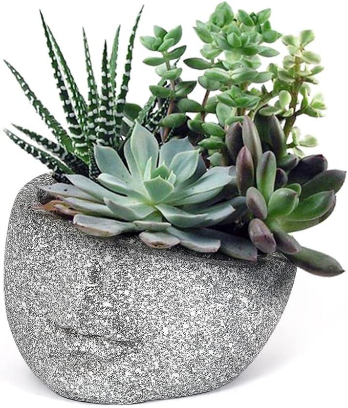 Adeco Abstract Face Head Planter,Face Flower Pot,Flower Plant Pots for Indoor Outdoor Plants,Creative Head Planter Head Pot with Drainage Hole (Granite)
