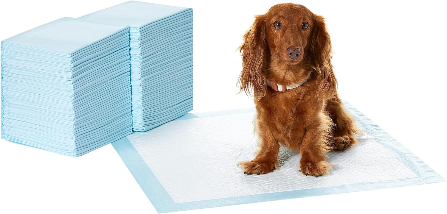 Amazon Basics Dog and Puppy Pee Pads with 5-Layer Leak-Proof Design and Quick-Dry Surface for Potty Training, Regular, 22 x 22 Inch, Scented - Pack of 100