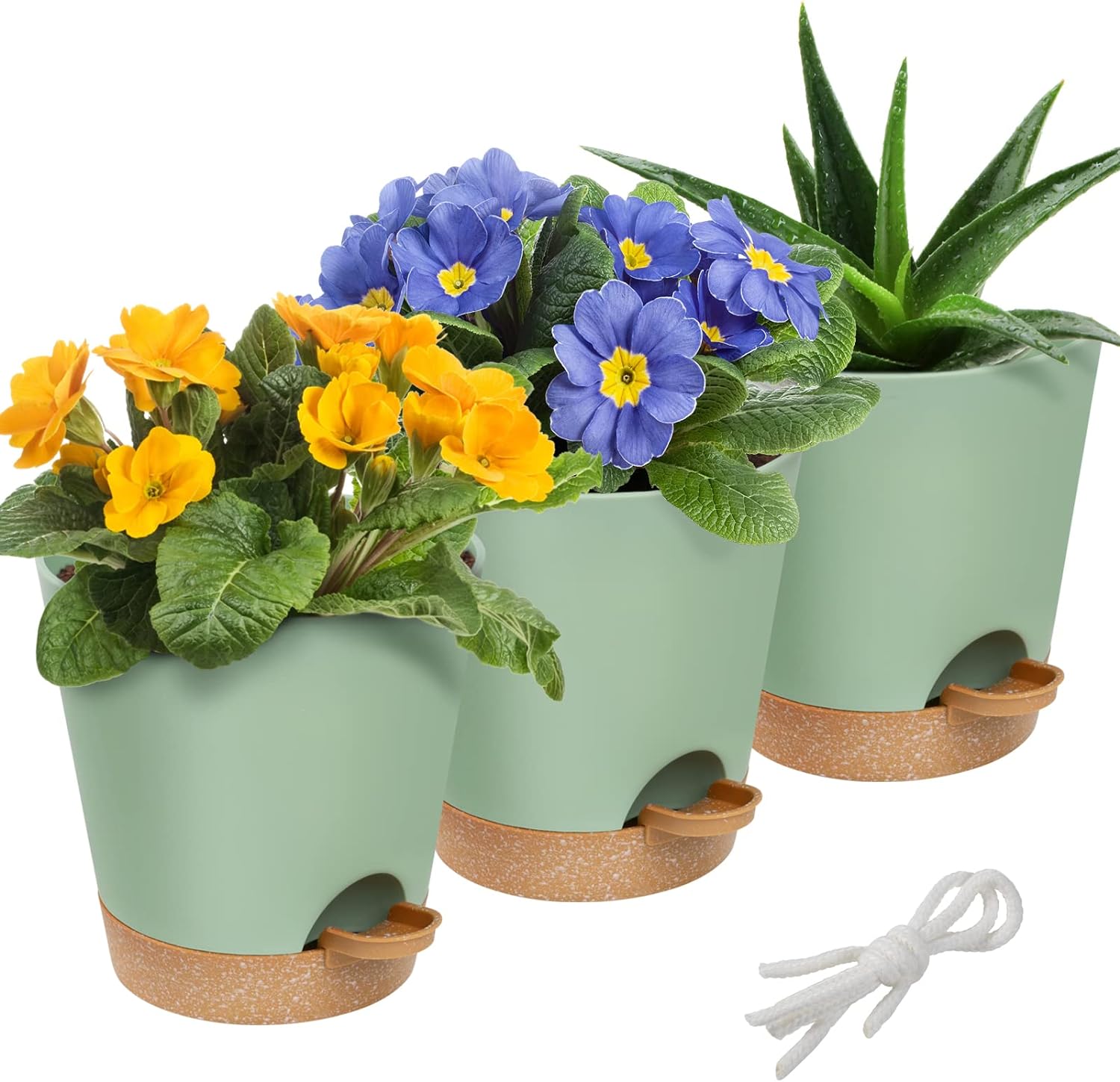 6inch Self Watering Pots for Indoor Plants - 3pcs Flower Pots Planter with Drainage Holes and Wick Rope for Orchid African Violet Snake Plant Succulent Live Plants