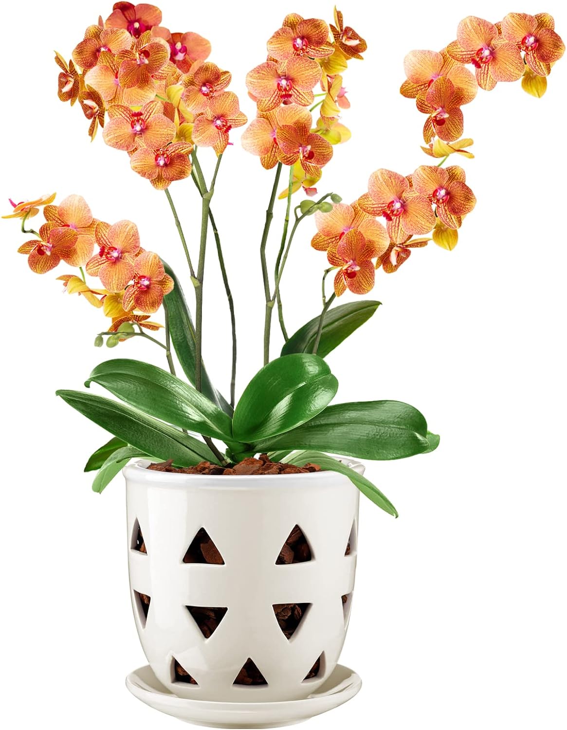 Aulock 6 Inch Ceramic Orchid Pot with Holes, Decorative Triangle Ceramic Hollow Pot, Excellent Air Circulation, Orchid Planter with Saucer for Dendrobium Oncidium Cattleya Repotting Indoor Outdoor