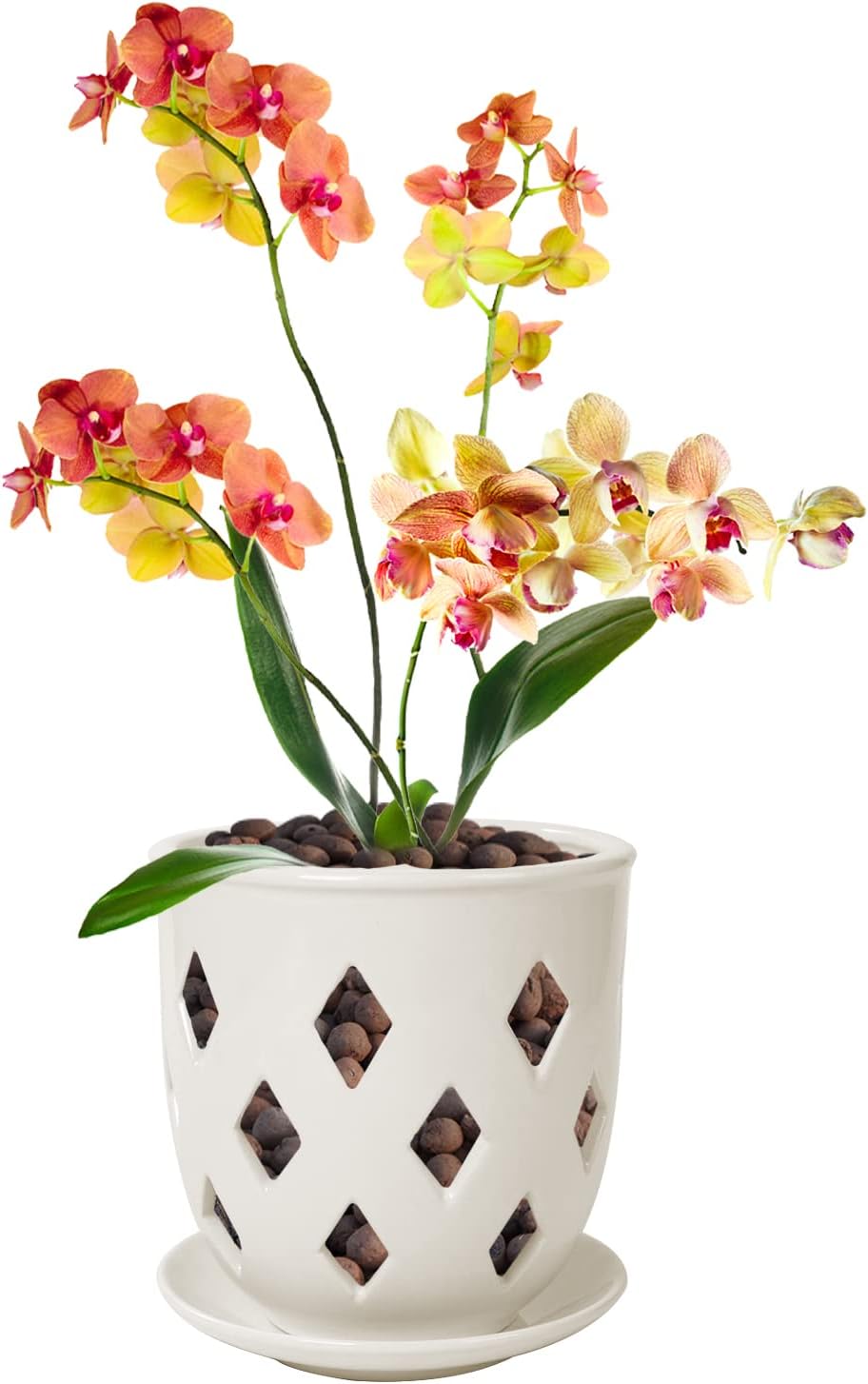 Ceramic Orchid Pot, 6in Orchid Pot with Holes, Decorative Rhombus Ceramic Hollow Pot, Excellent Air Circulation, Orchid Planter with Saucer for Dendrobium Oncidium Cattleya Repotting Indoor Outdoor