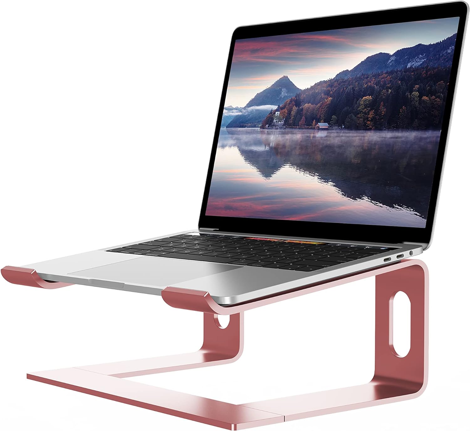 ALASHI Laptop Stand for Desk, Aluminum Computer Riser, Ergonomic Notebook Holder, Detachable Metal Laptops Elevator, PC Cooling Mount Support 10 to 15.6 Inches Notebook, Pink