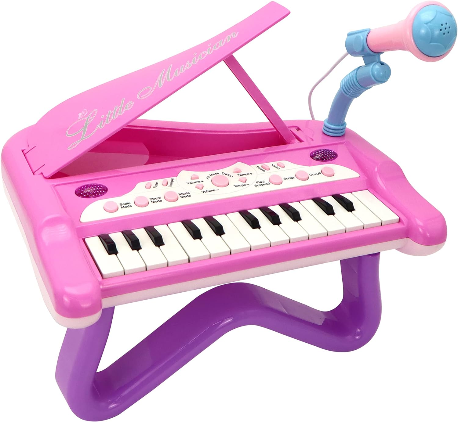 JOYIN Little Girl Mini Piano with 24 Keyboard, Multifunctional Musical with Built-in Microphone and Music Modes, Instrument Toys, Kids Toys for Toddler Birthday Christmas Party Gift Classroom Prize