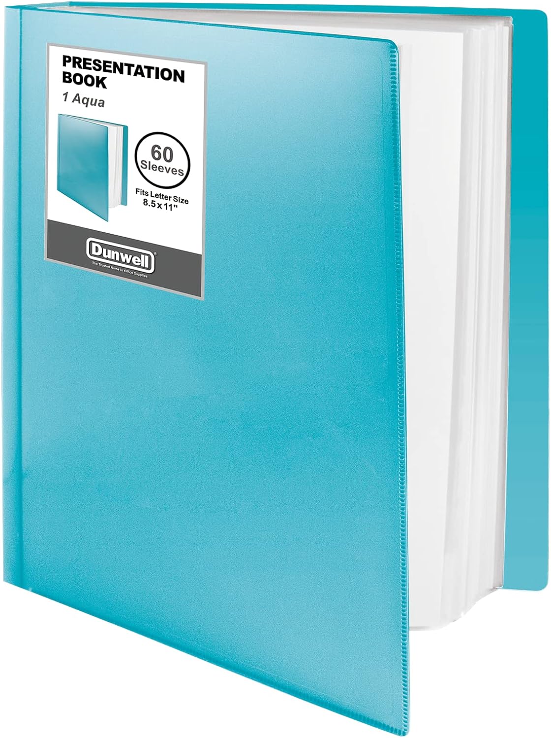 Dunwell Binder with Plastic Sleeves 60-Pocket (1 Pack, Aqua) - Presentation Book, 8.5 x 11 Portfolio Folder with Clear Sheet Protectors, Displays 120-Page Documents, Certificates, Important Papers