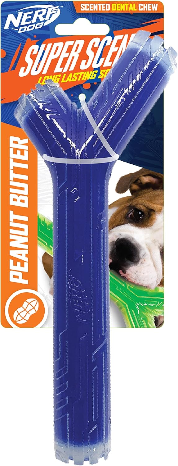 Nerf Dog 10in TPR/PP Scented Peanut Butter SuperScent Stick Solid Core -Clear/Blue, (NF-7133)