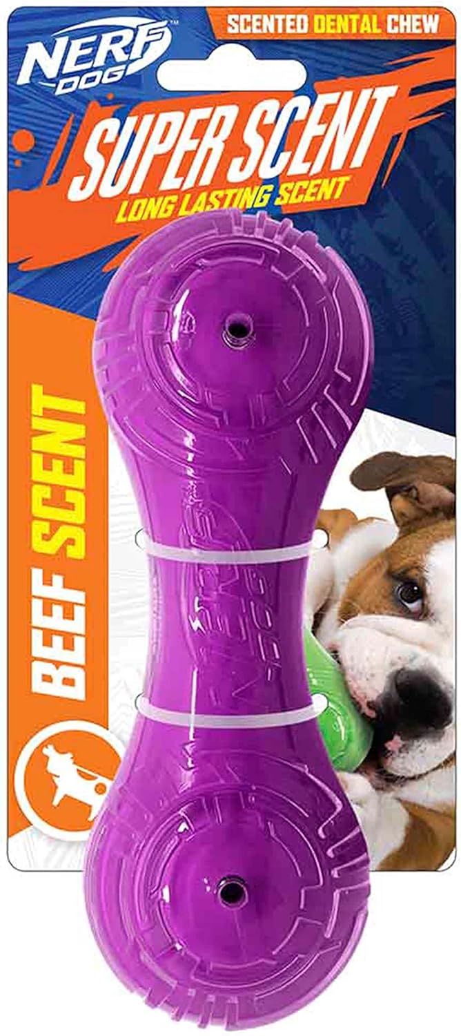 Nerf Dog 7in TPR/PP Scented Beef SuperScent Barbell Solid Core -Clear/Purple, Small (NF-7131)
