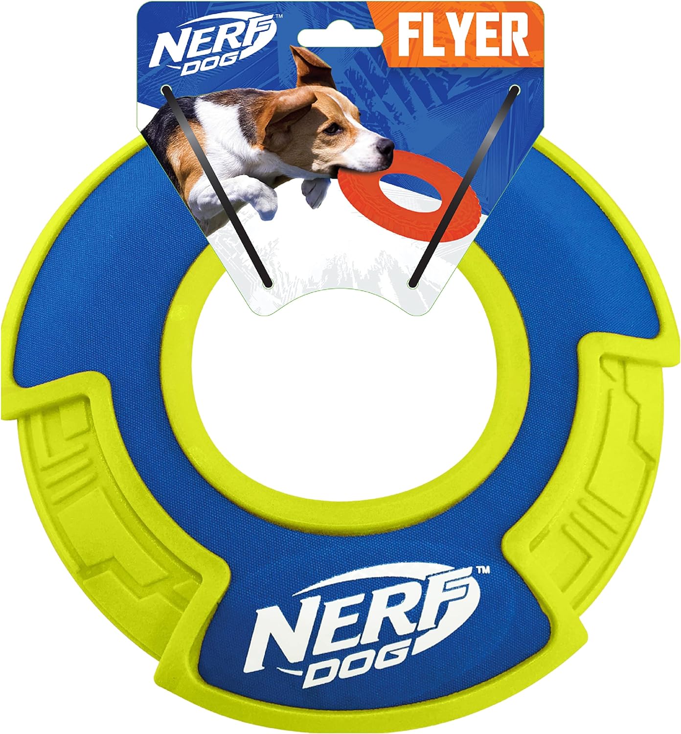 Nerf Dog Toss and Retrieve Flying Disc Dog Toys, Blue/Green