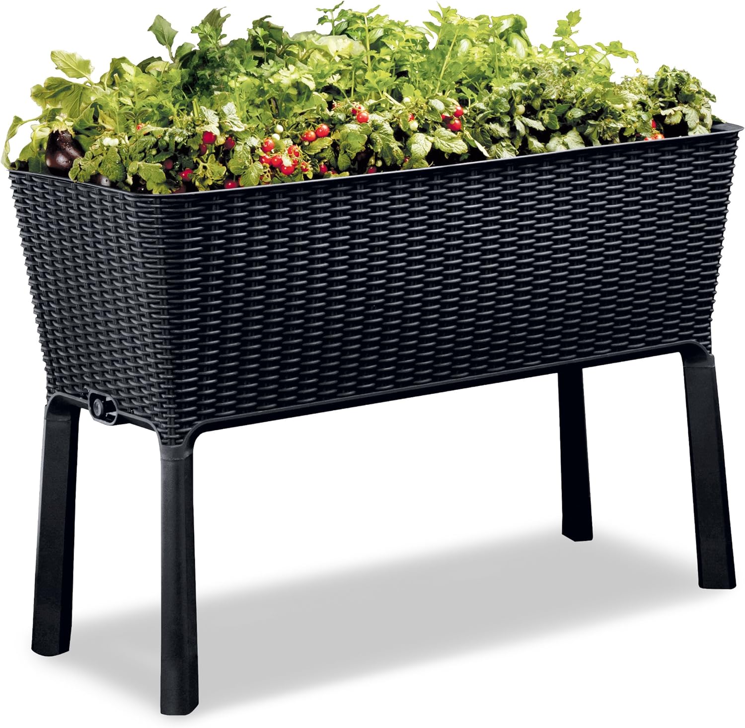 Keter Easy 31.7 Gallon Raised Garden Bed with Self Watering Planter Box and Drainage Plug-Perfect for Growing Fresh Vegetables, Flowers and Herbs, Graphite