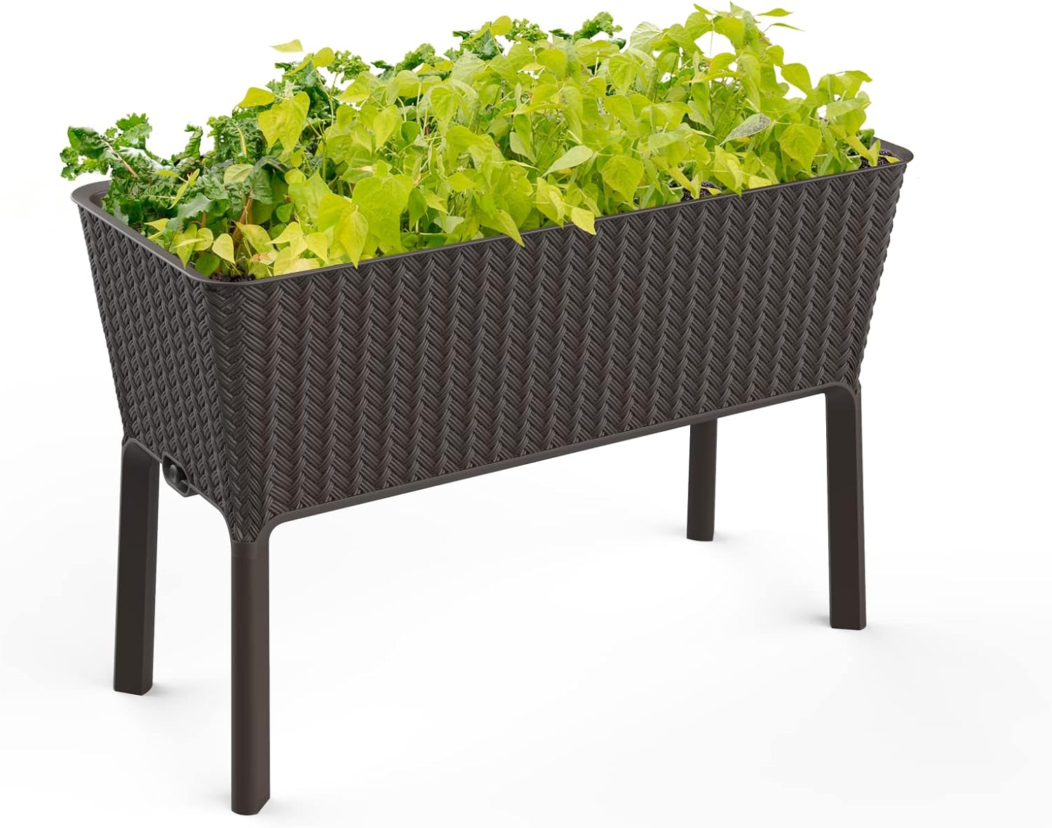 Keter Splendor 31.7 Gallon Raised Garden Bed with Self Watering Planter Box and Drainage Plug-Perfect for Growing Fresh Vegetables, Flowers and Herbs, Brown