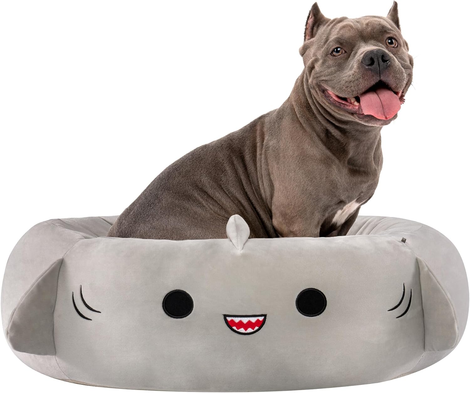 Squishmallows 30-Inch Gordon Shark Pet Bed - Large Ultrasoft Official Squishmallows Plush Pet Bed, Multicolor, 30.0L x 30.0W x 8.0Th