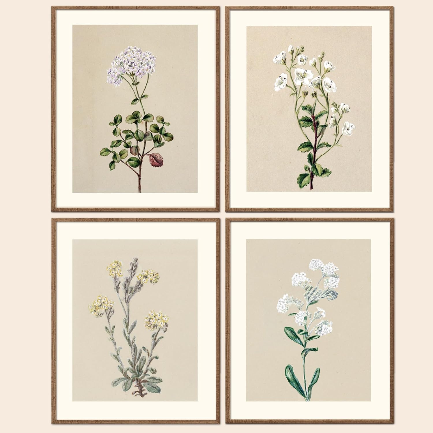 LITIVY Framed Set of 4 Boho Wall Decor Botanical Wall Art Prints Rustic Vintage Flower Minimalist Neutral Decor for Farmhouse Home Bedroom Kitchen Wall Decor (8x10, Brown Delicate Flowers)