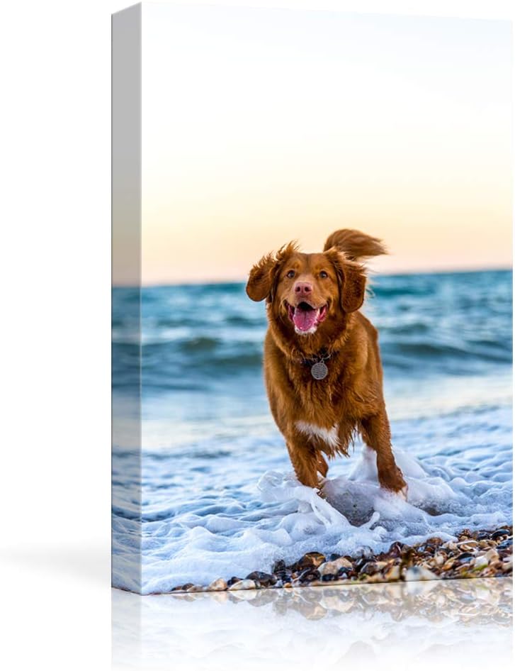 NWT Custom Canvas Prints with Your Photos for Pet/Animal, Personalized Canvas Pictures for Wall to Print Framed 18x12 inches