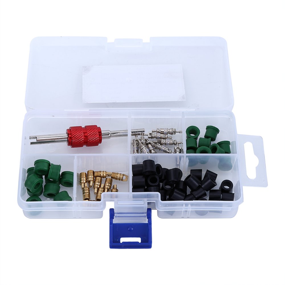 Eboxer 71Pcs A/C Air Condition Repair Kit Repair Tool, with Removal and Install Tool, 10pcs Valve Cores+50pcs Hose Gaskets+10pc Valves+1pcs Valve Core Tool