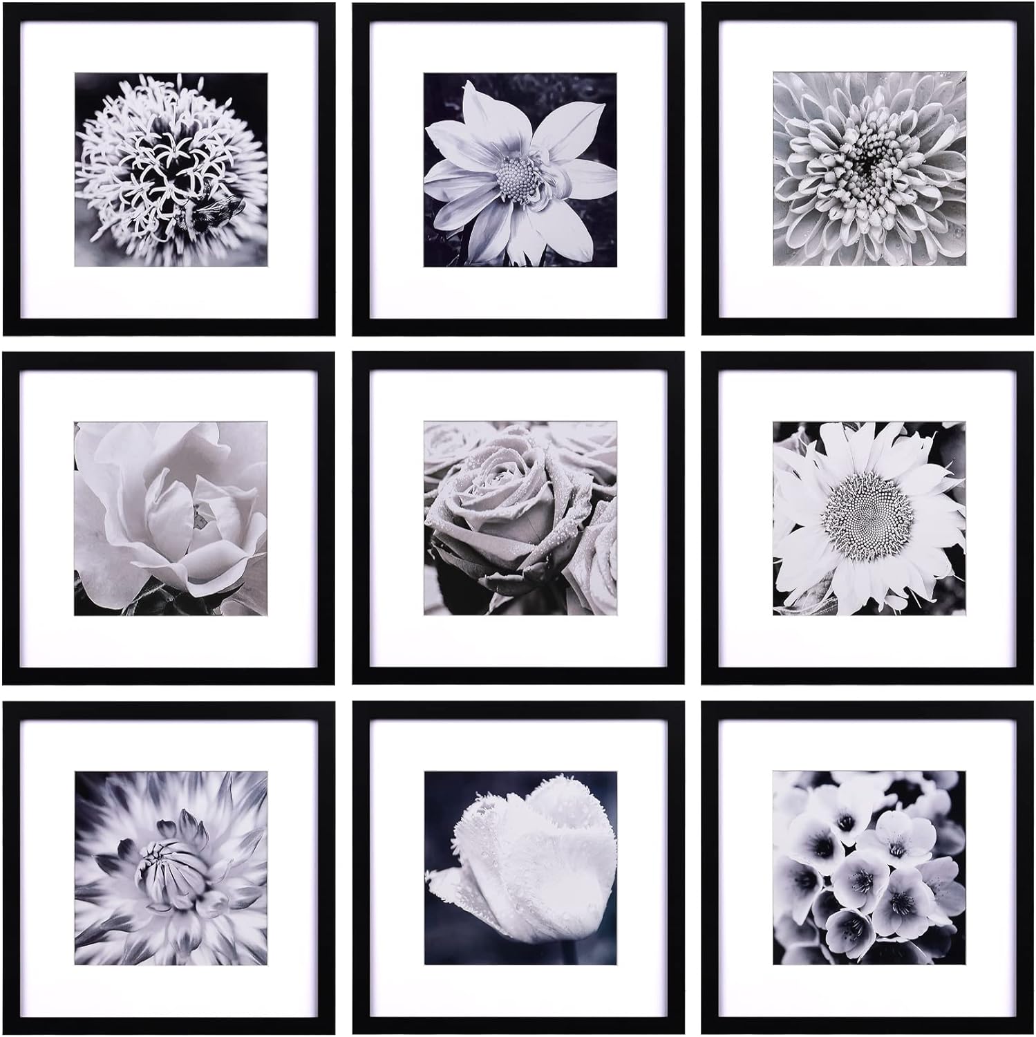 12x12 Picture Frames Black Set of 9, Square Photo Frame Displays 8x8 with Mat or 12x12 without Mat, Gallery Wall Frame Set, Multi Collage Frames for Wall Hanging