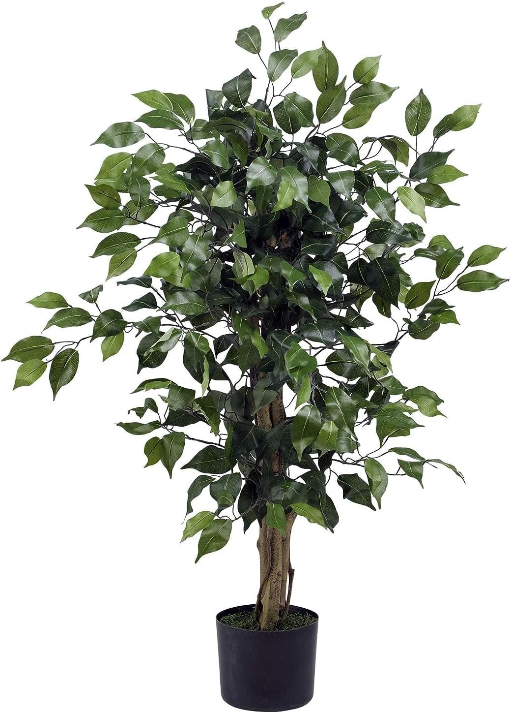 The tree is perfect. Fast shipping. Sturdy packing. Very easy to adjust the branches to make the tree full. None of the leaves broke or fell off. I'm 6'0 and it' definitely as tall as me. Some faux plants don't look real - this one looks fantastic!