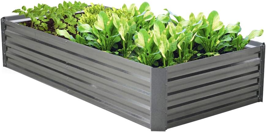 Galvanized Raised Garden Bed 80Lx40Wx16H Inch Steel Outdoor Planters for Flower Herb Garden- 16 Inch Extra Tall Garden Bed Great to Grow Fruit and Root Vegetables.