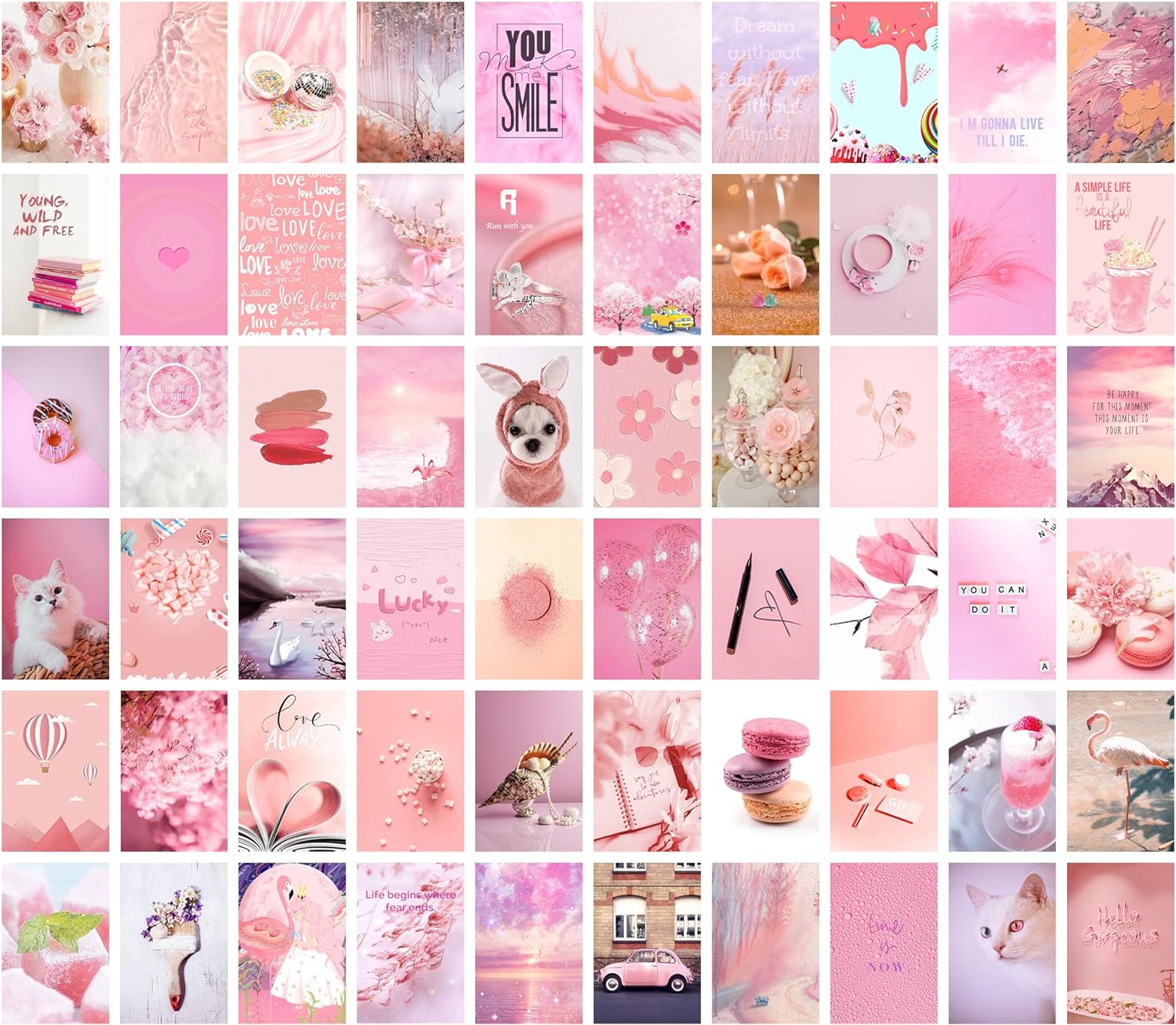 Pink Wall Collage Kit Aesthetic Pictures, Blush Room Decor for Teen Girls, VSCO Posters for Bedroom,Dorm Photo Wall Art, Rosy Collage Prints Kits (60 Set 4x6 inch)