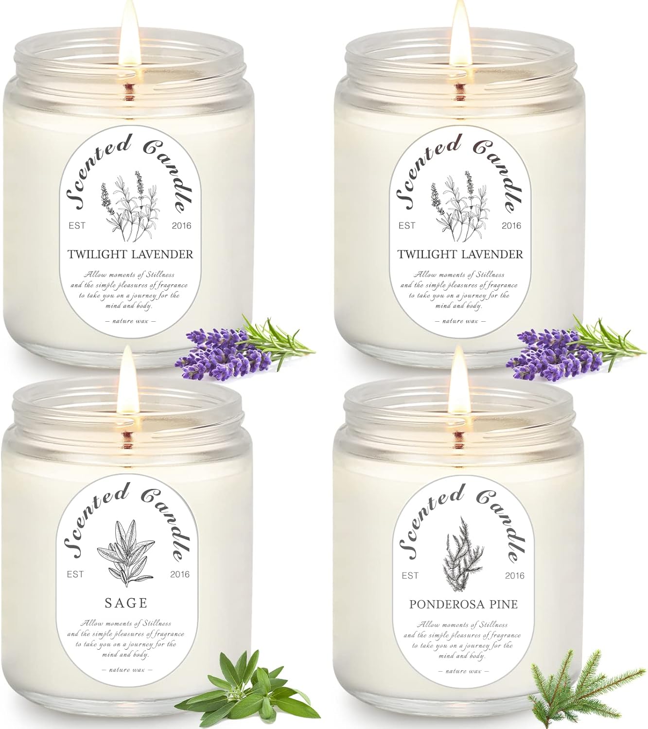 4 Pack Candles for Home Scented, Lavender Candles, 4x6.3 oz 4x50 Hour Long Lasting Aromatherapy Jar Candles Natural Soy Wax Relaxing Candle, Candles Gifts for Women (Lavender *2 &Sage &Jackson)