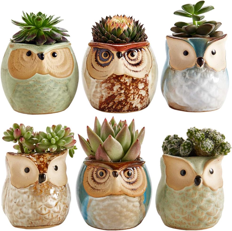 These are absolutely adorable and perfect for my succulent project.